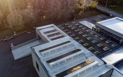 ⚡️ Gestione dell’energia elettrica: analisi e strategie di Effepierre Spa ?